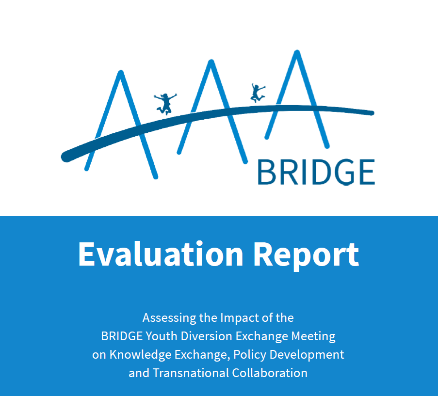evaluation report pic