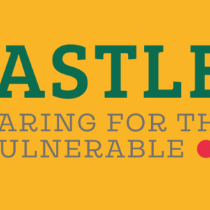 CASTLE2 logo