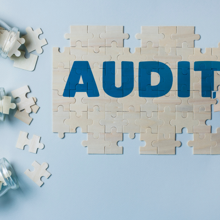 audit puzzle