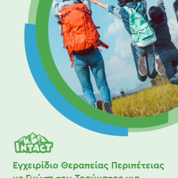Cover of Manual